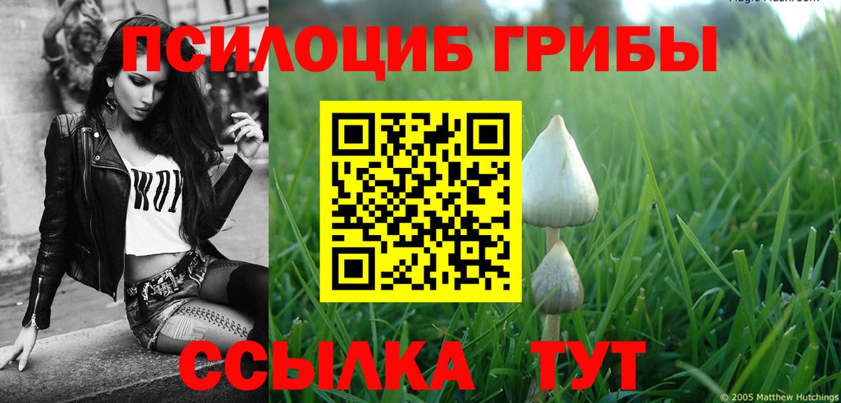 Галлюциногенные грибы Magic Shrooms Гусев